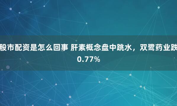 股市配资是怎么回事 肝素概念盘中跳水，双鹭药业跌0.77%