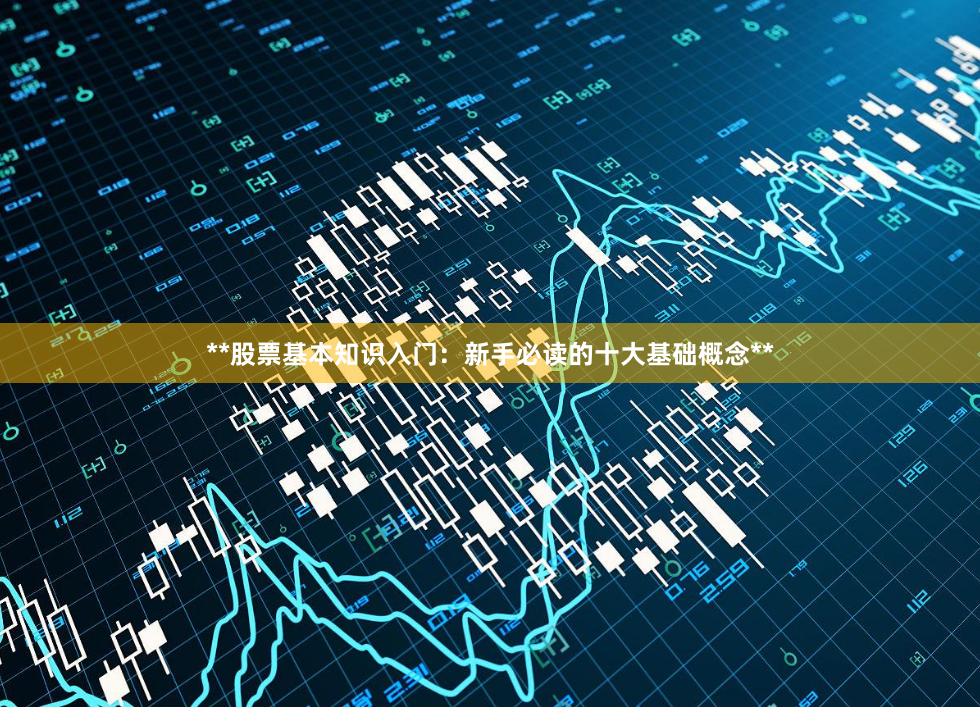 **股票基本知识入门：新手必读的十大基础概念**