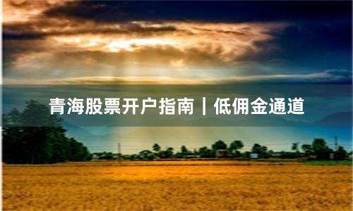 青海股票开户指南｜低佣金通道
