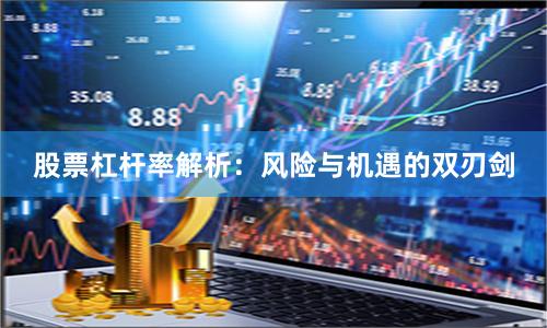 股票杠杆率解析：风险与机遇的双刃剑
